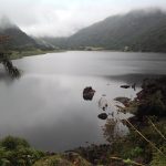 Moving: Bearing Witness